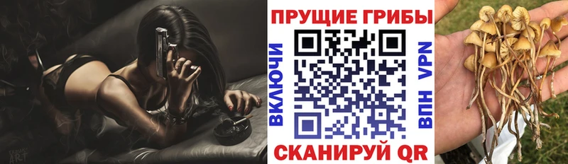 Галлюциногенные грибы мухоморы  Спасск-Дальний 
