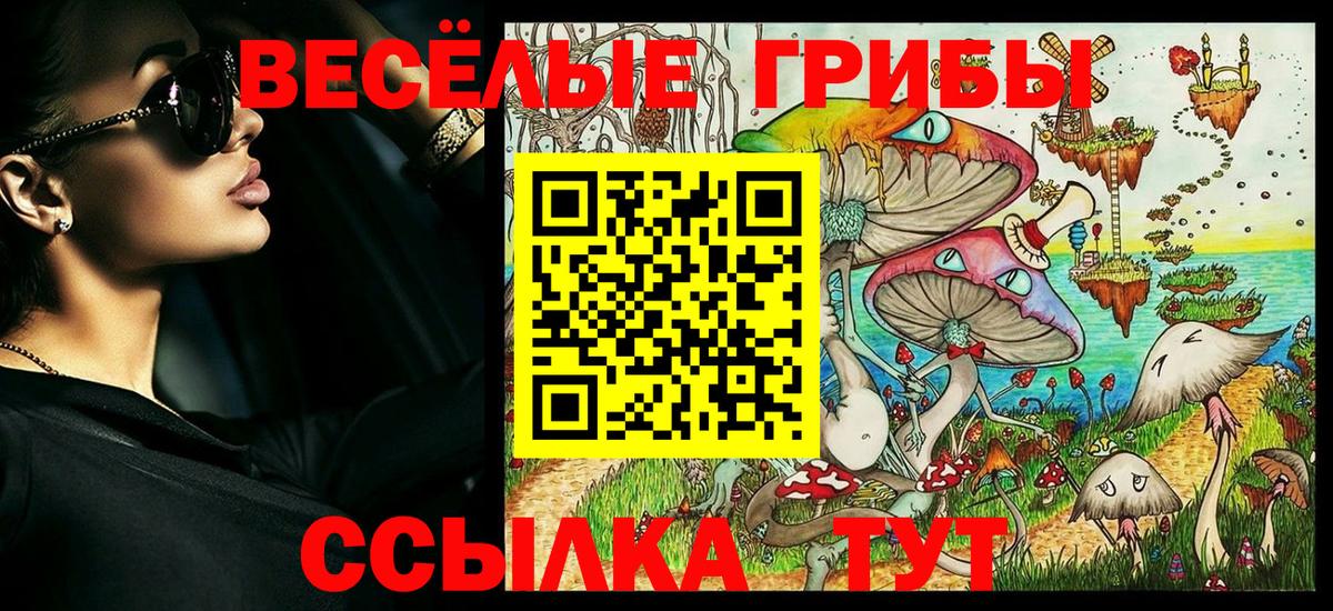Псилоцибиновые грибы ЛСД  Спасск-Дальний  Псилоцибиновые грибы Psilocybine cubensis 
