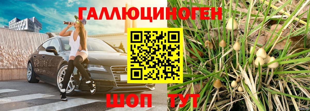 Галлюциногенные грибы MAGIC MUSHROOMS Спасск-Дальний