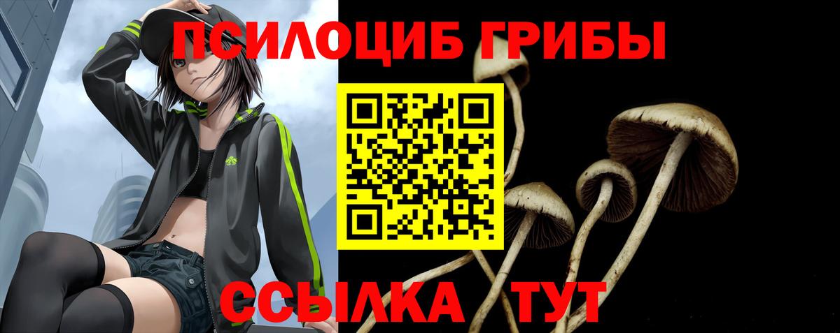Псилоцибиновые грибы мицелий  Вход с VPN  где купить наркоту  Спасск-Дальний 